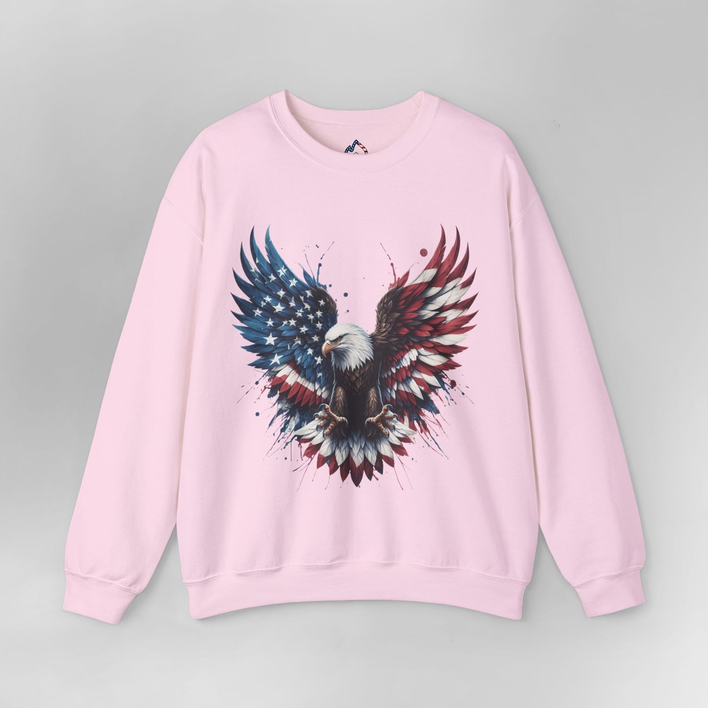 American Eagle Sweatshirt
