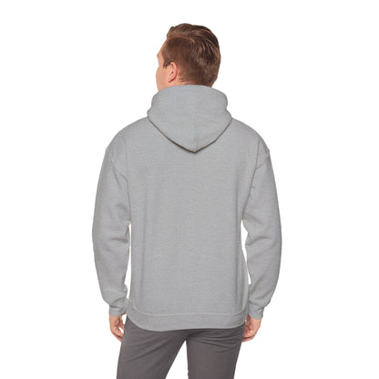 DT 47 Hooded Sweatshirt