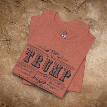 Trump Vintage Money