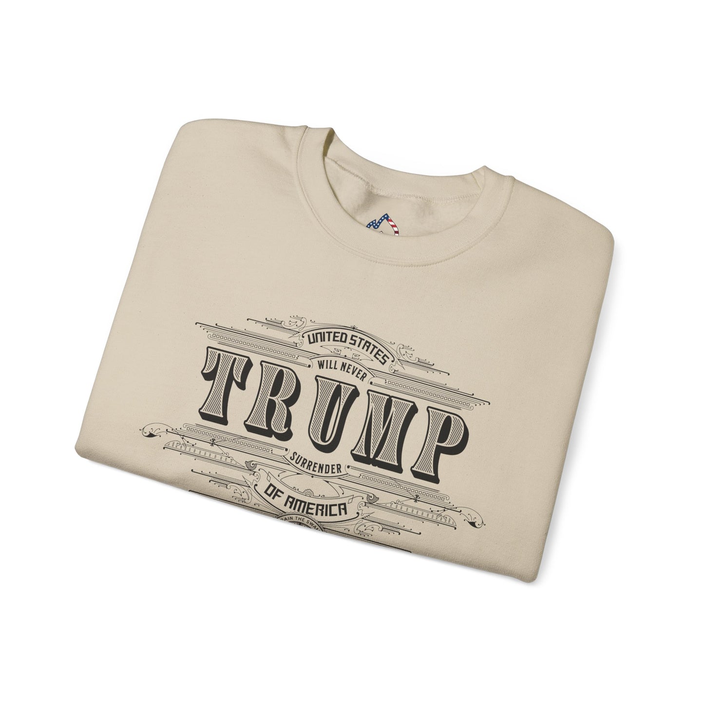 Trump Vintage Money Sweatshirt