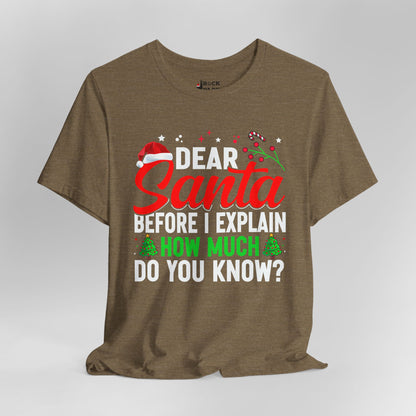 Dear Santa, How Much do You Know?