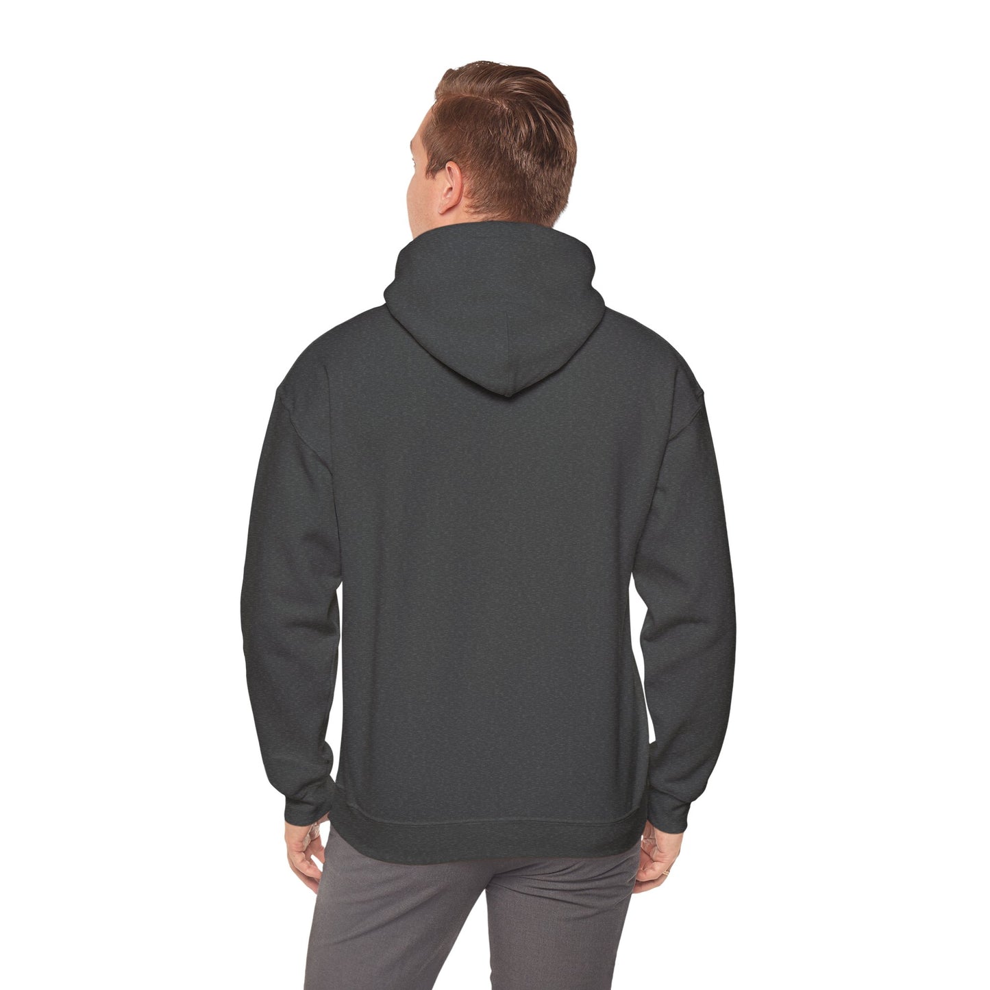 DT 47 Hooded Sweatshirt