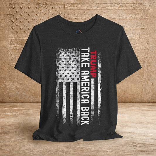 Take America Back Flag